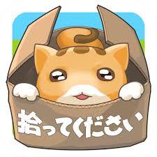 捨て猫レスキュー